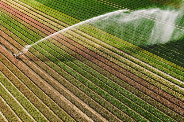 How Does Smart Irrigation Technology Utilize Weather Data for Water Conservation in Agriculture?